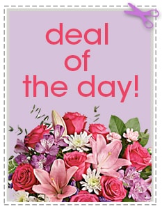 Send The Best Deal of the Day - Biggest Freshest Arrangement