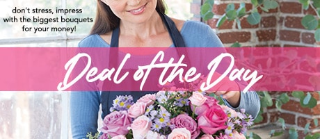 Deal of the Day Flowers Delivery - Send Deal of the Day Flowers